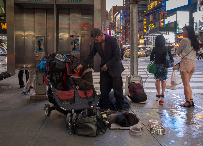 homeless man times square two cats, Megan Crandlemire Photography