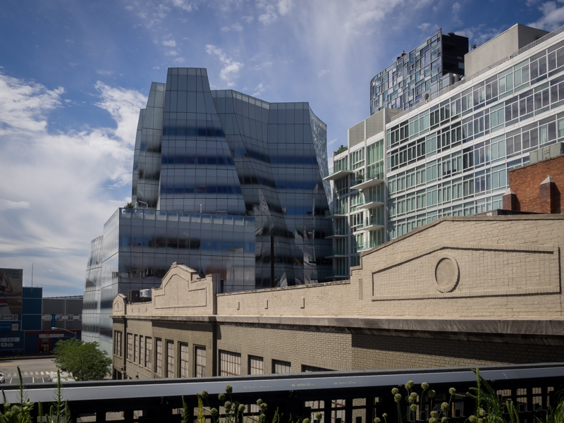 view from the highline, Megan Crandlemire Photography