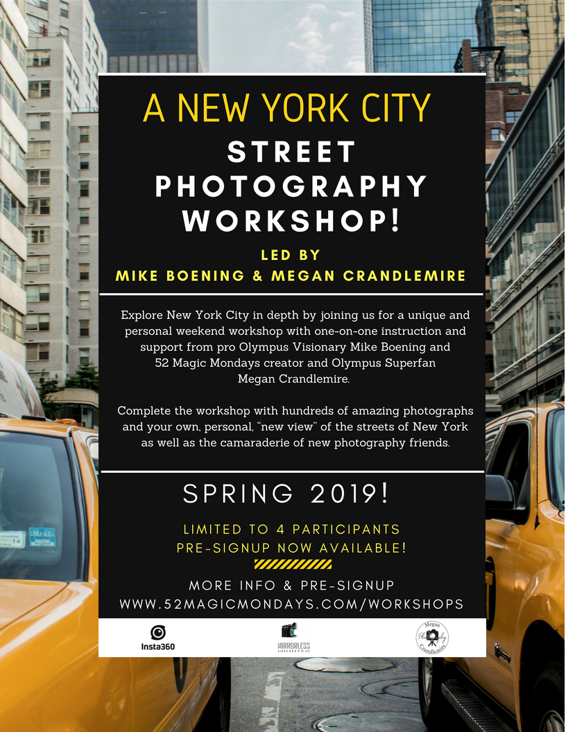 NYC Workshop 2019 Spring