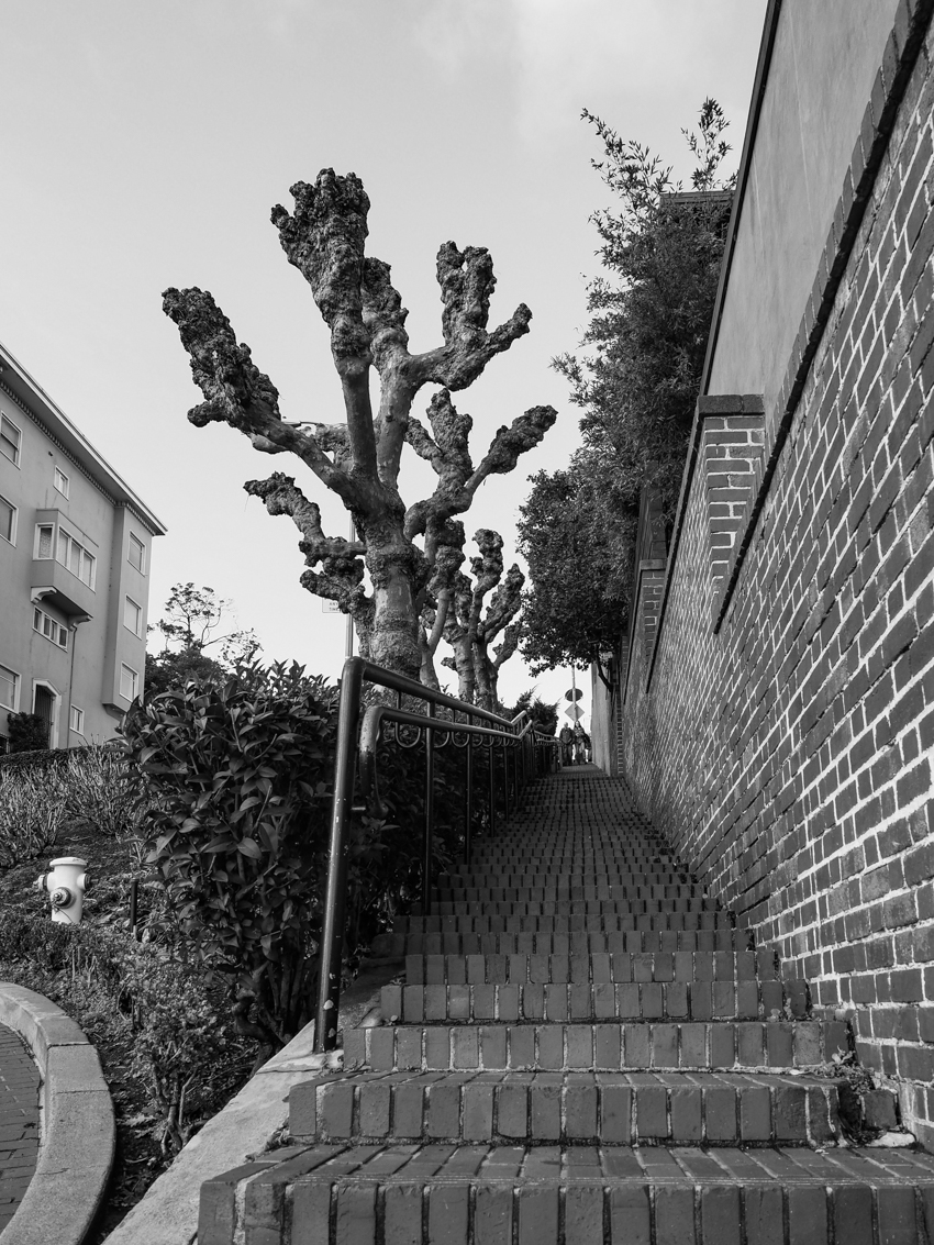 Lombard Street black and white
