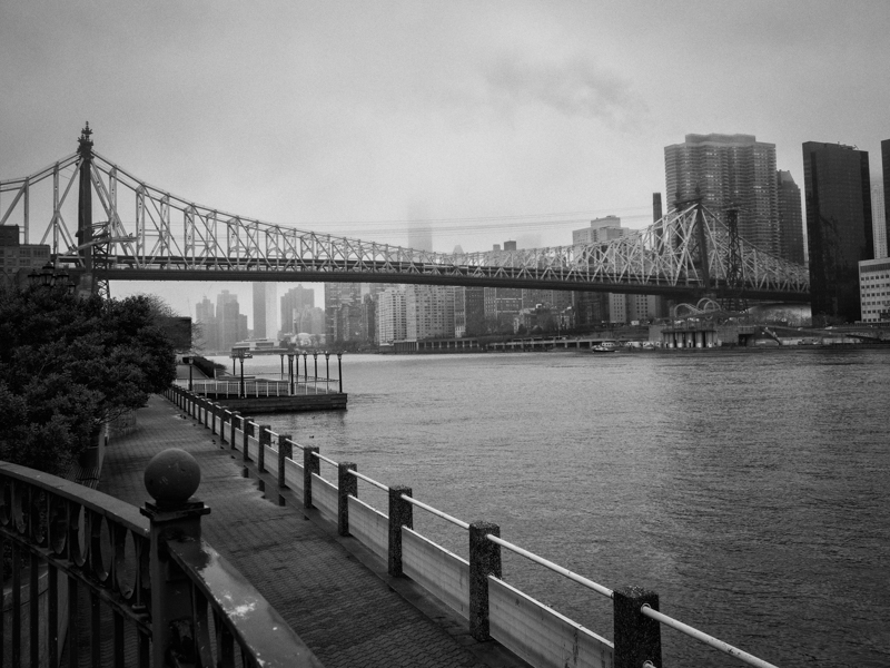 Queensboro Bridge from Roosevelt Island NYC