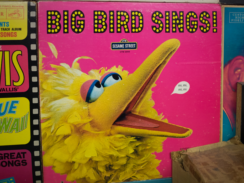 big bird sings Bleeker Street Records