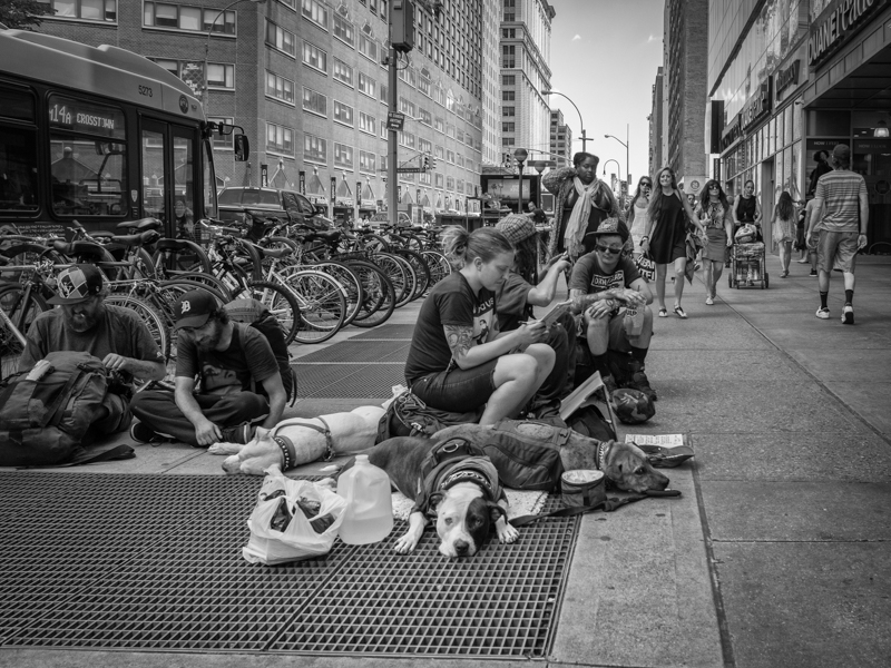 new york homeless with dogs, Megan Crandlemire Photography